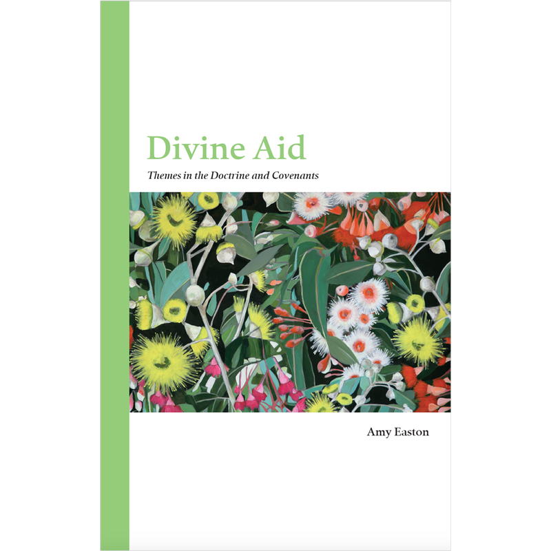 Divine Aid: Themes in the Doctrine and Covenants