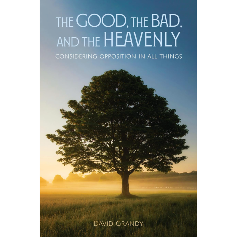 The Good, the Bad, and the Heavenly: Considering Opposition in All Things